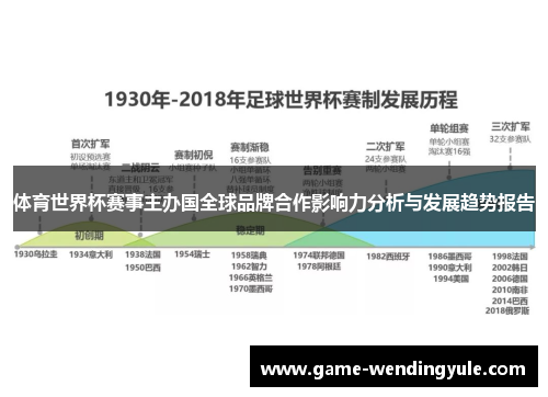 体育世界杯赛事主办国全球品牌合作影响力分析与发展趋势报告